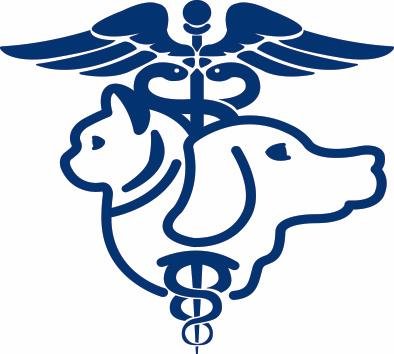 Hospital Veterinario Pachuca